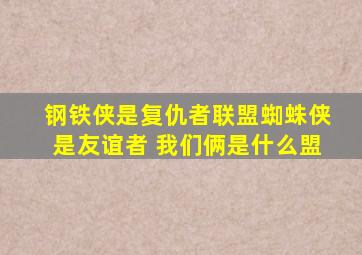 钢铁侠是复仇者联盟蜘蛛侠是友谊者 我们俩是什么盟